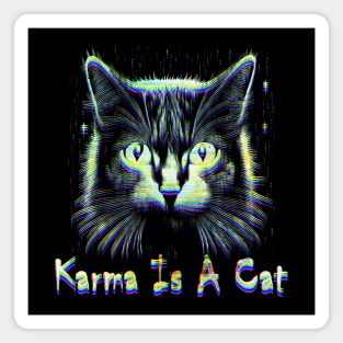 Karma Is A Cat Glitch Magnet